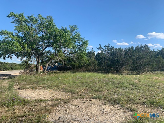 523 Oak Shores Drive Property Photo 21