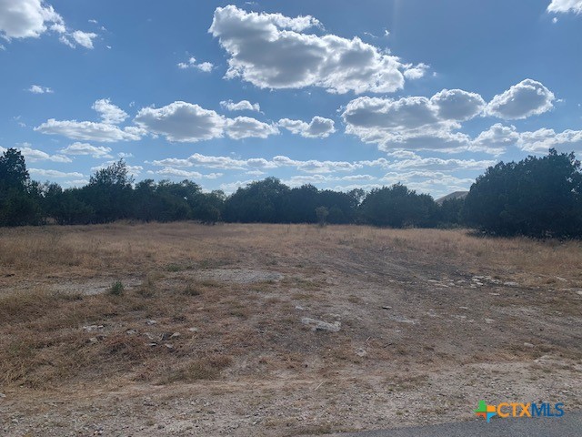 523 Oak Shores Drive Property Photo 24