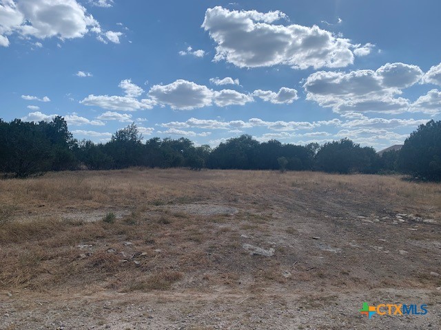 523 Oak Shores Drive Property Photo 25