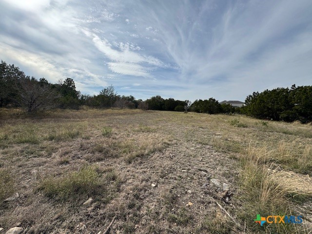 523 Oak Shores Drive Property Photo 33