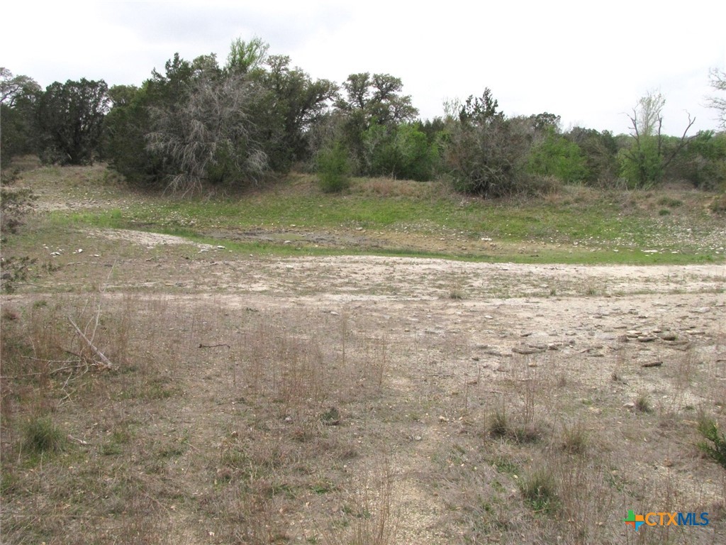 5448 County Road 182 Property Photo 28
