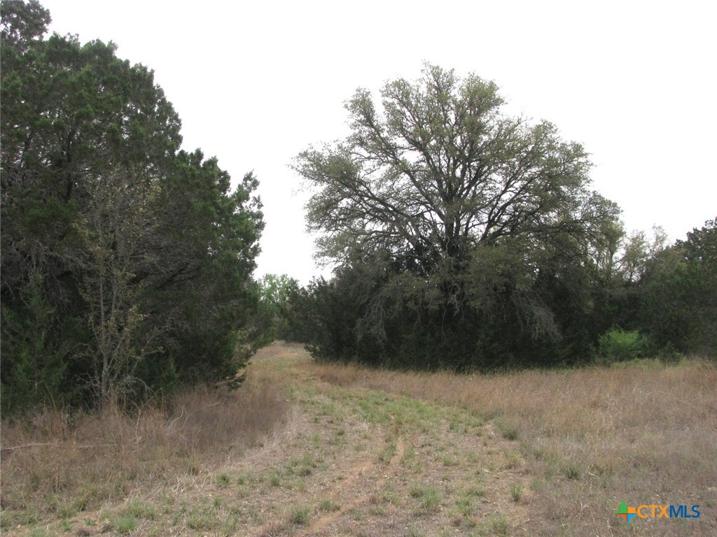 5448 County Road 182 Property Photo 37