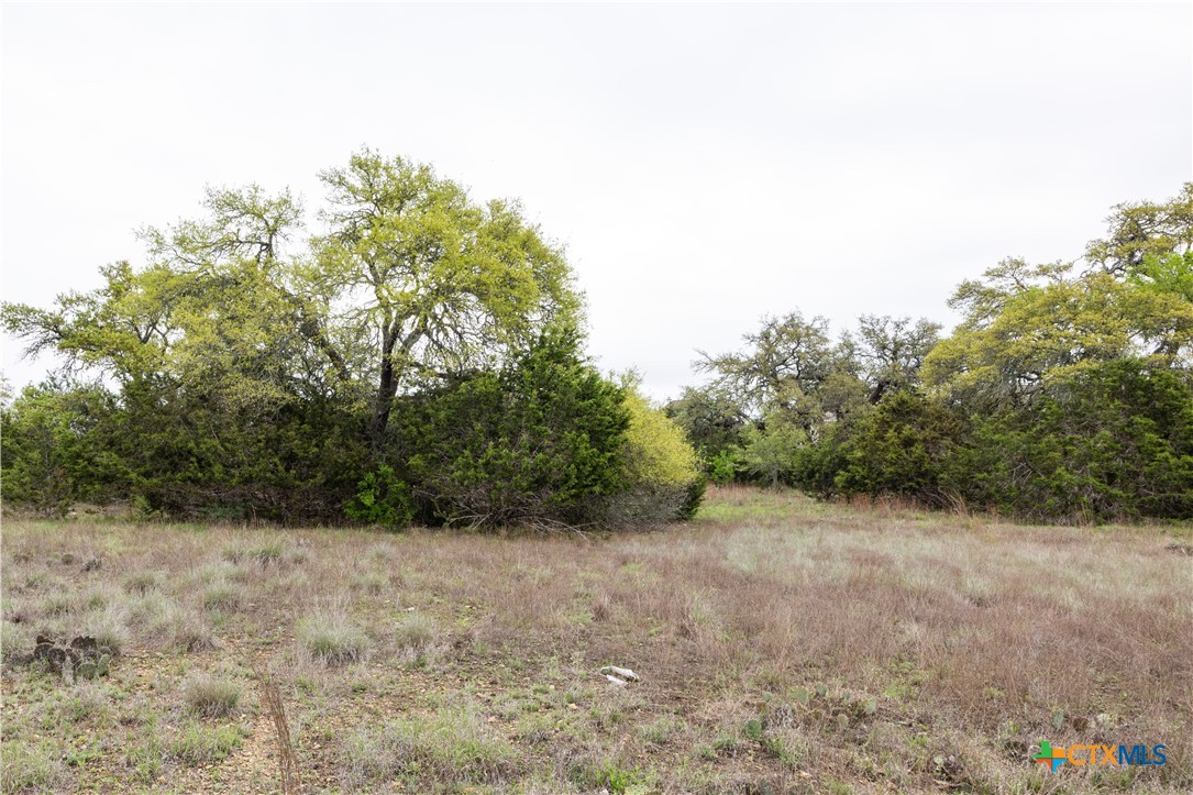 Tbd Logan's Way Property Photo 3
