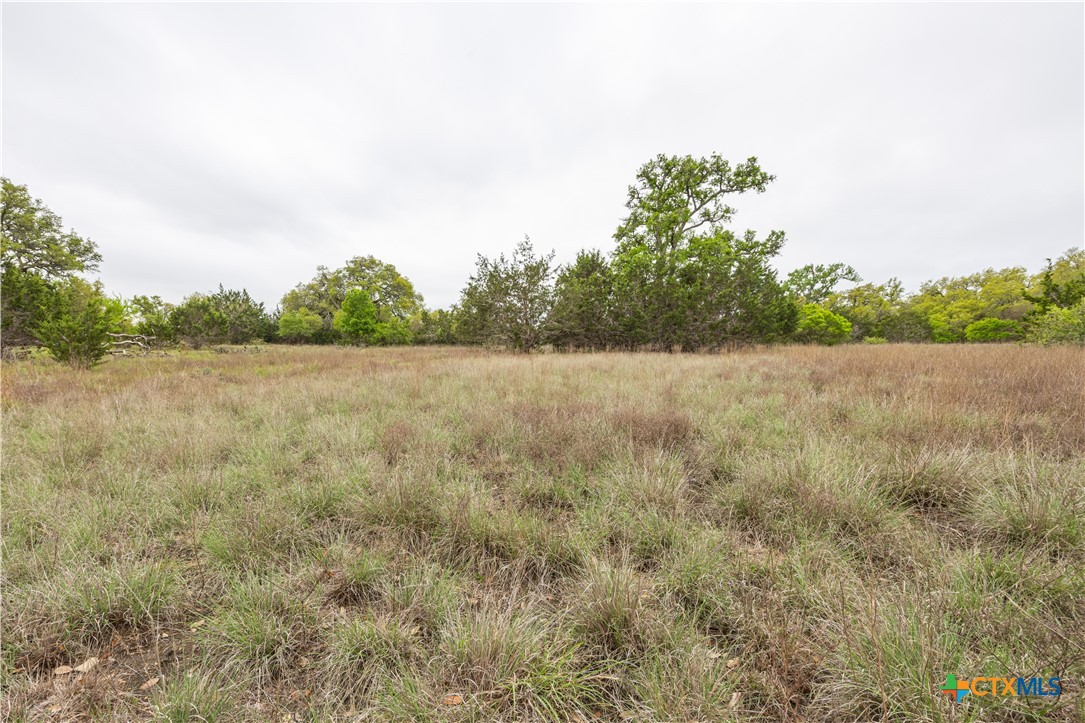 Tbd Logan's Way Property Photo 4
