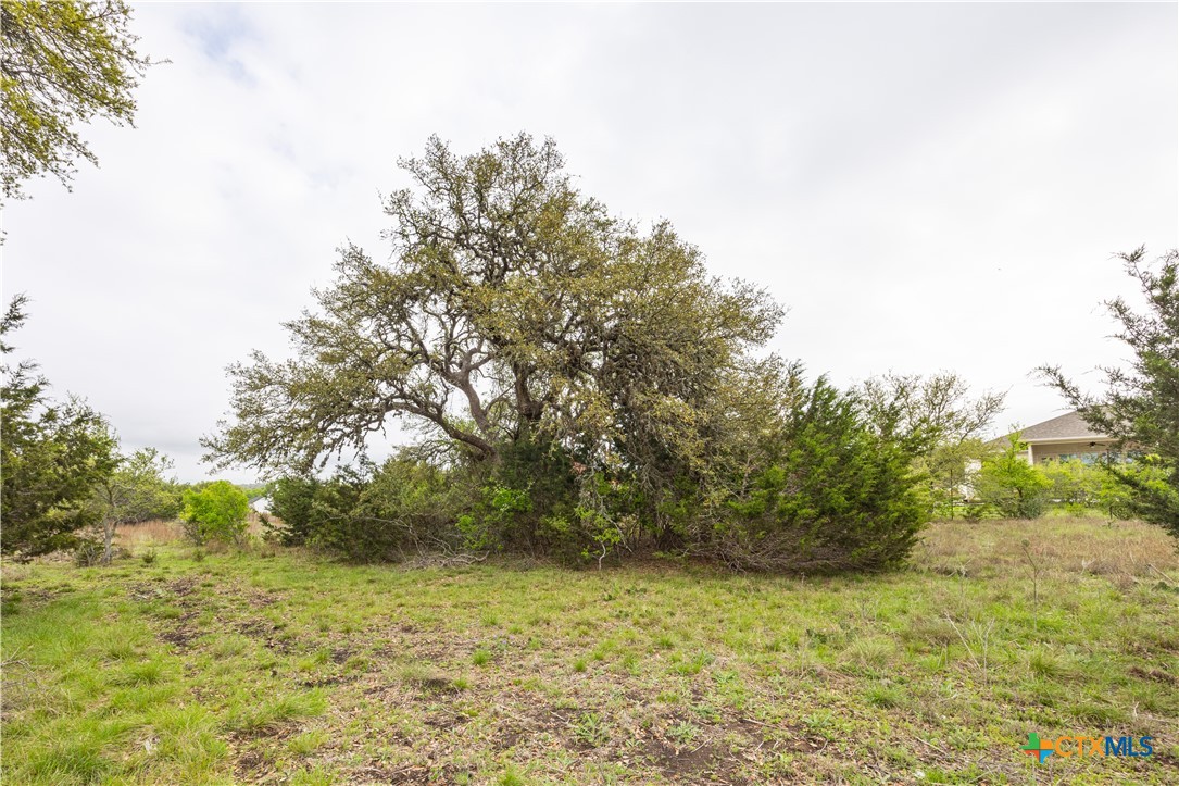 Tbd Logan's Way Property Photo 6