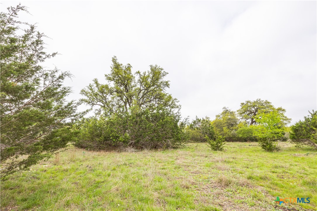 Tbd Logan's Way Property Photo 7