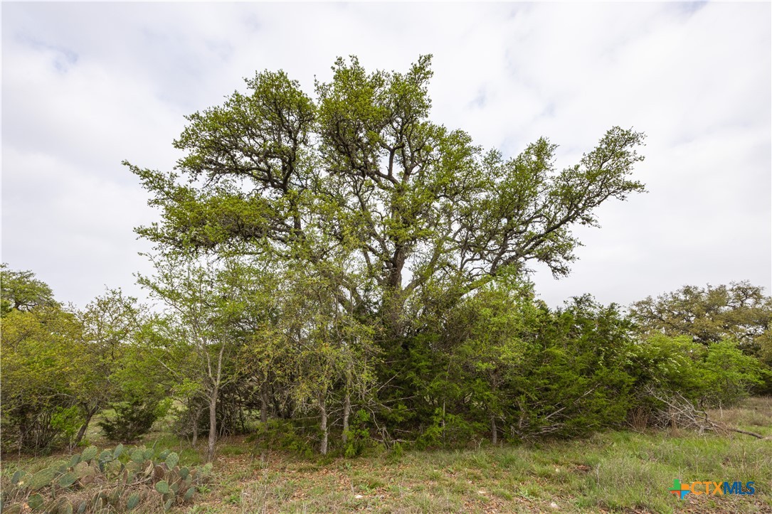 Tbd Logan's Way Property Photo 8