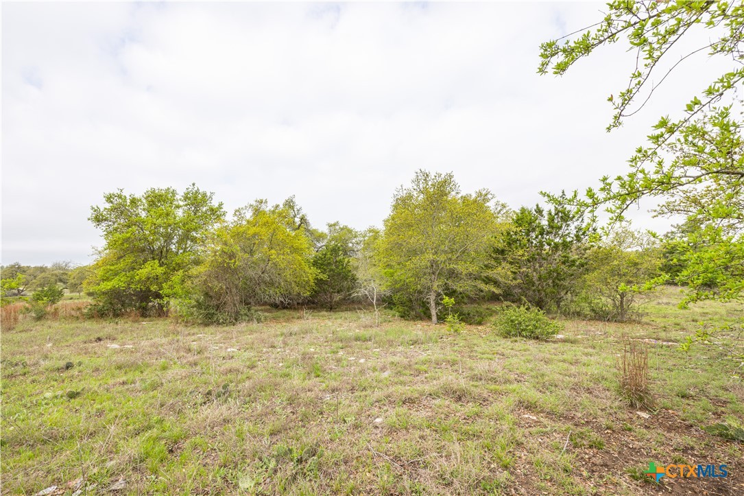 Tbd Logan's Way Property Photo 9