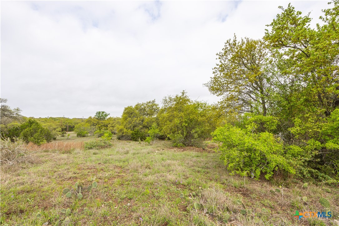 Tbd Logan's Way Property Photo 10
