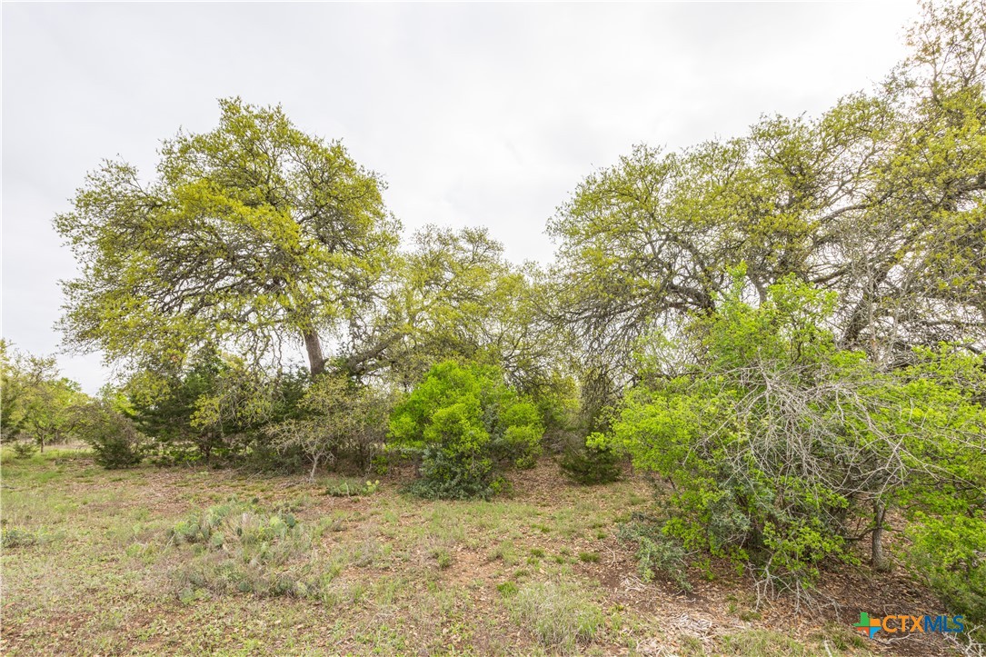 Tbd Logan's Way Property Photo 14