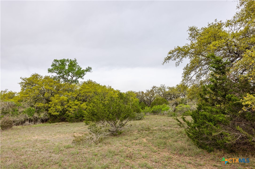 Tbd Logan's Way Property Photo 15