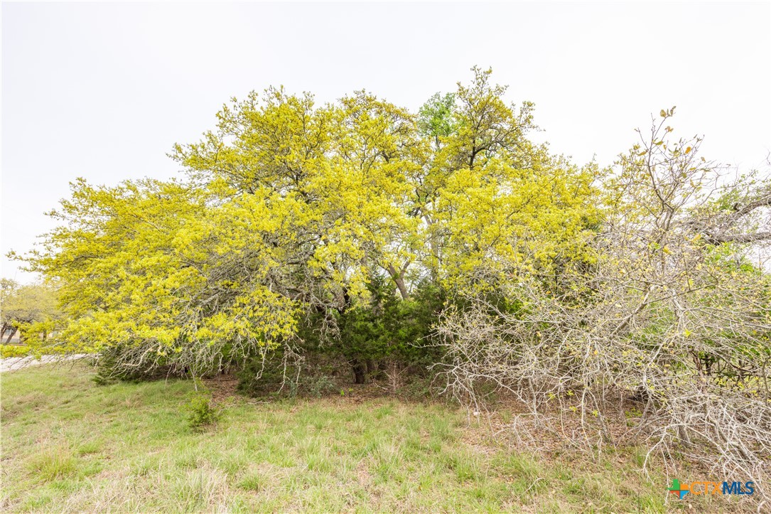 Tbd Logan's Way Property Photo 17