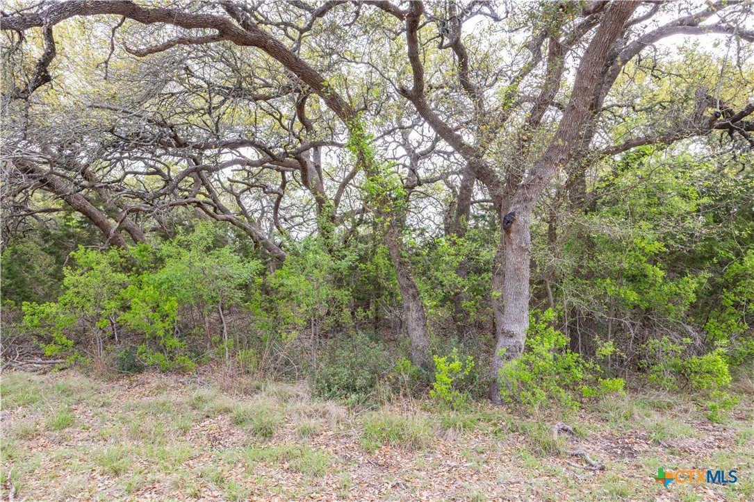 Tbd Logan's Way Property Photo 21