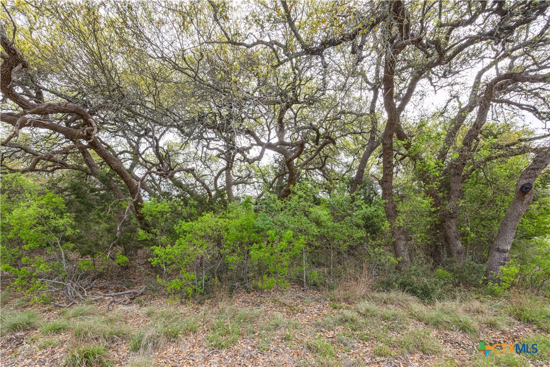 Tbd Logan's Way Property Photo 22