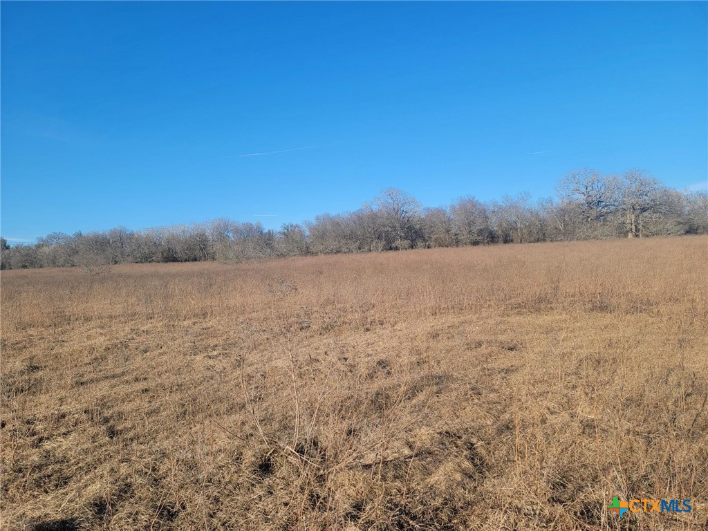Tbd County Road 458a Property Photo 2