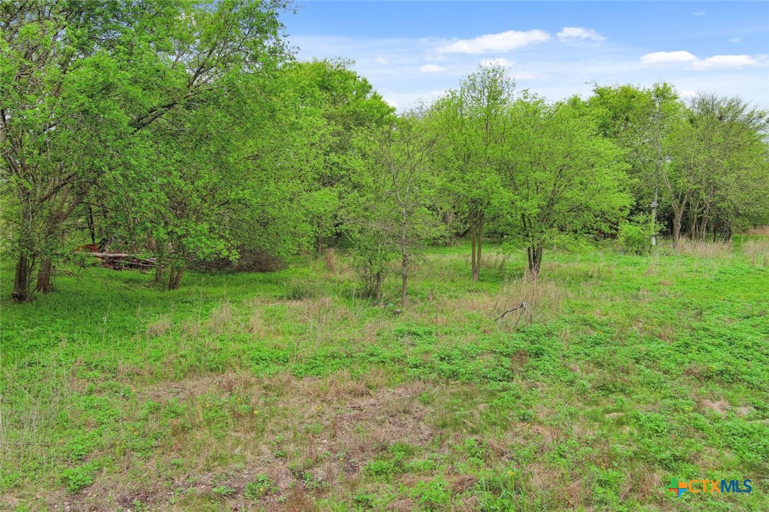 12430 Bendle Road Property Photo 7