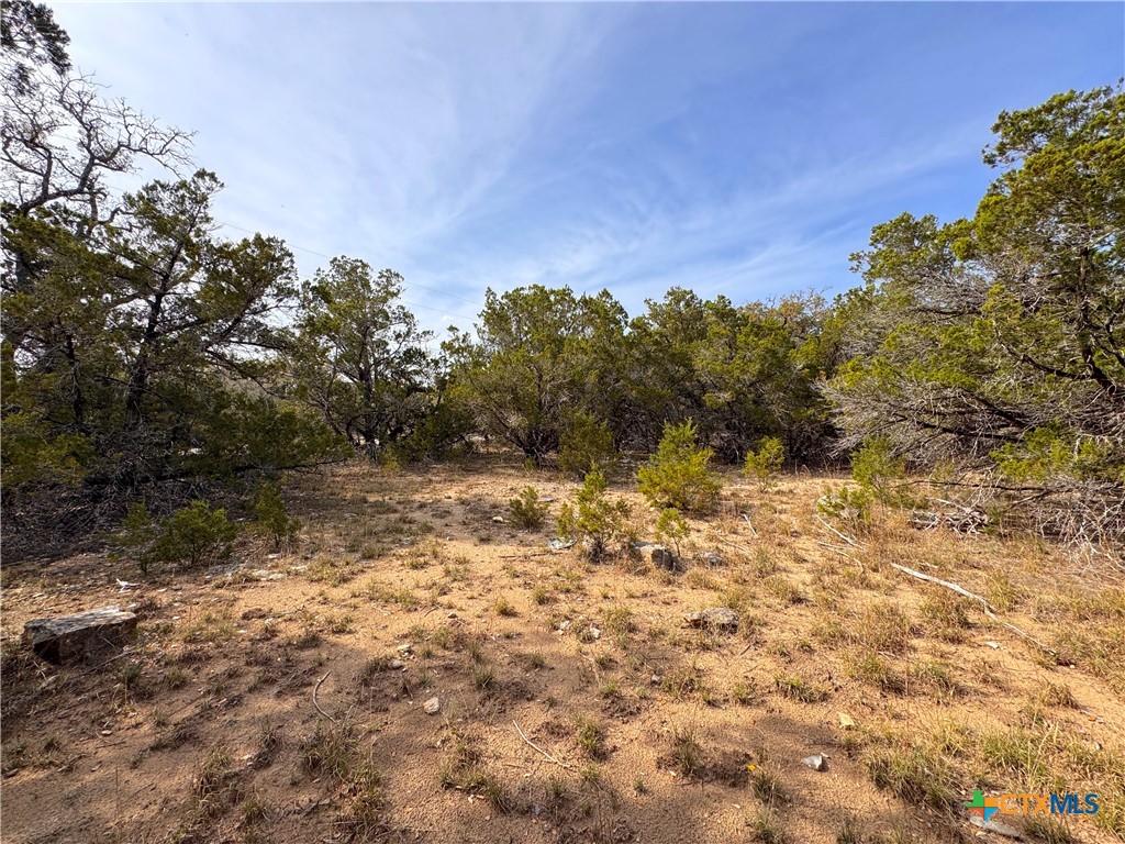 22474 Fm 306 Property Photo 7