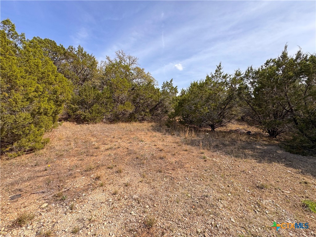 22474 Fm 306 Property Photo 8