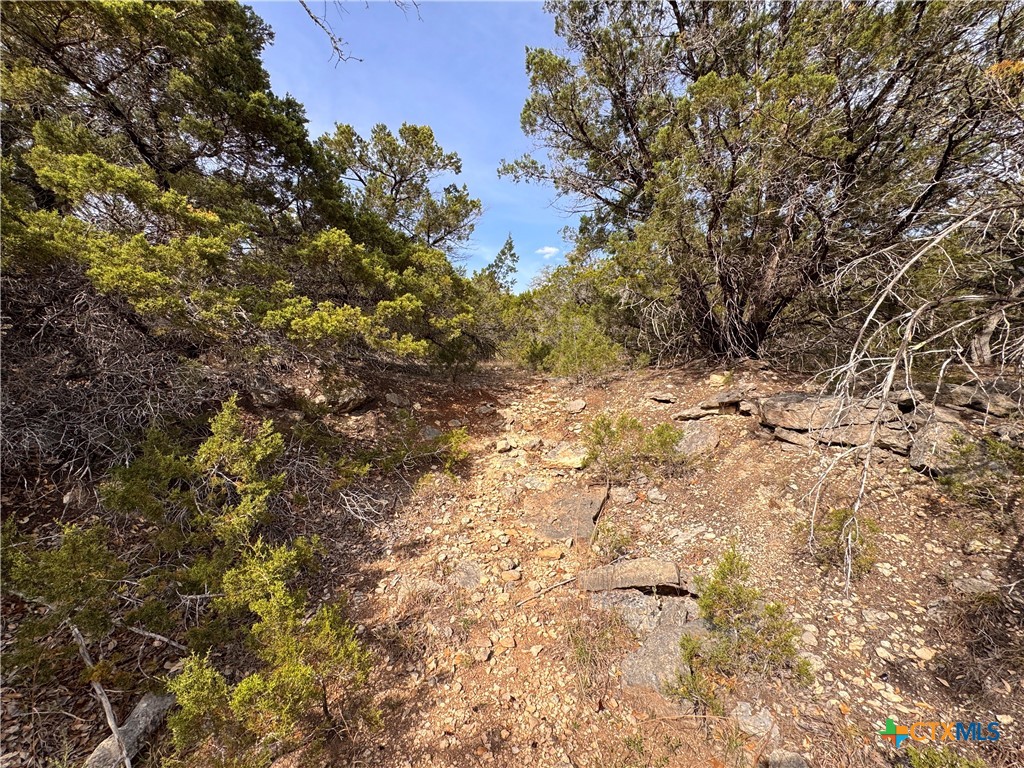 22474 Fm 306 Property Photo 13