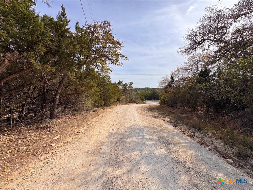 22474 Fm 306 Property Photo 14