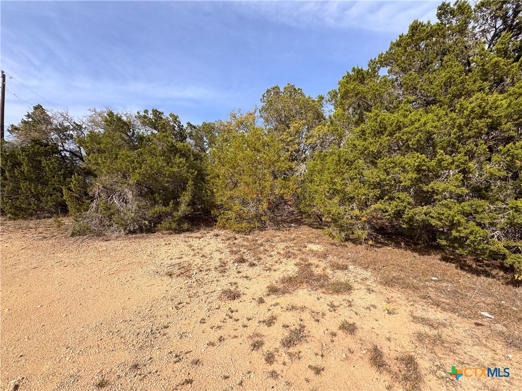 22474 Fm 306 Property Photo 15