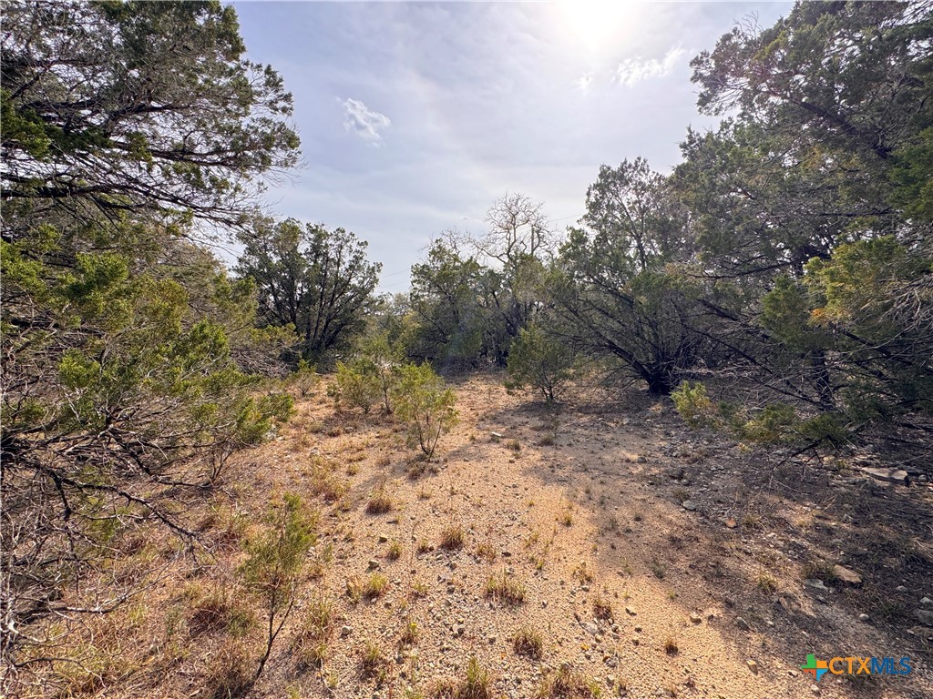 22474 Fm 306 Property Photo 16