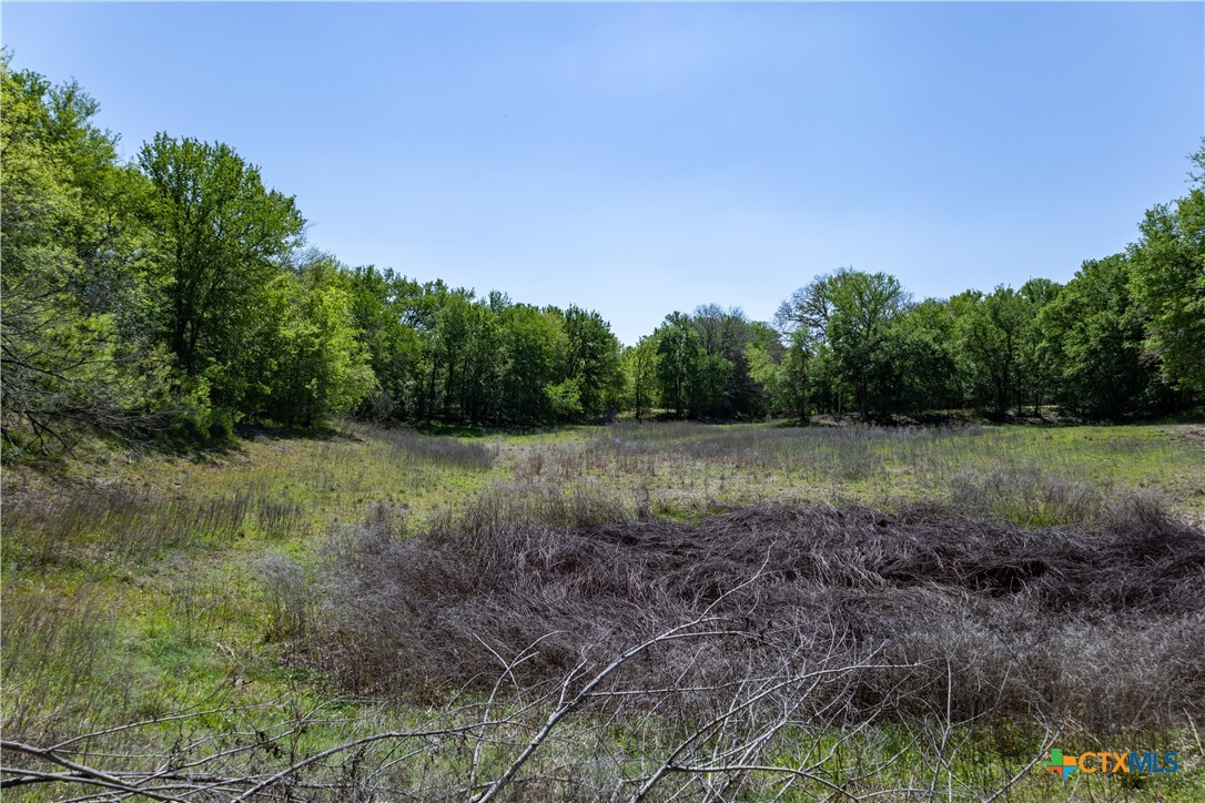 753 Roosevelt Property Photo 9
