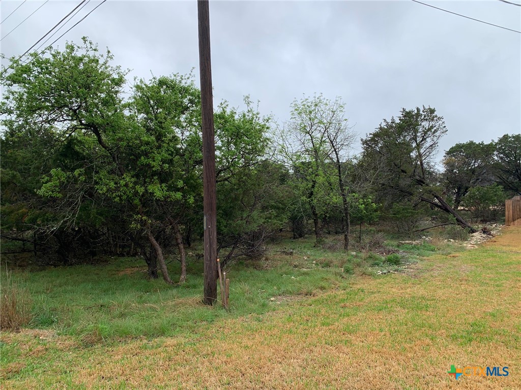15939 Crockett Drive Property Photo 4