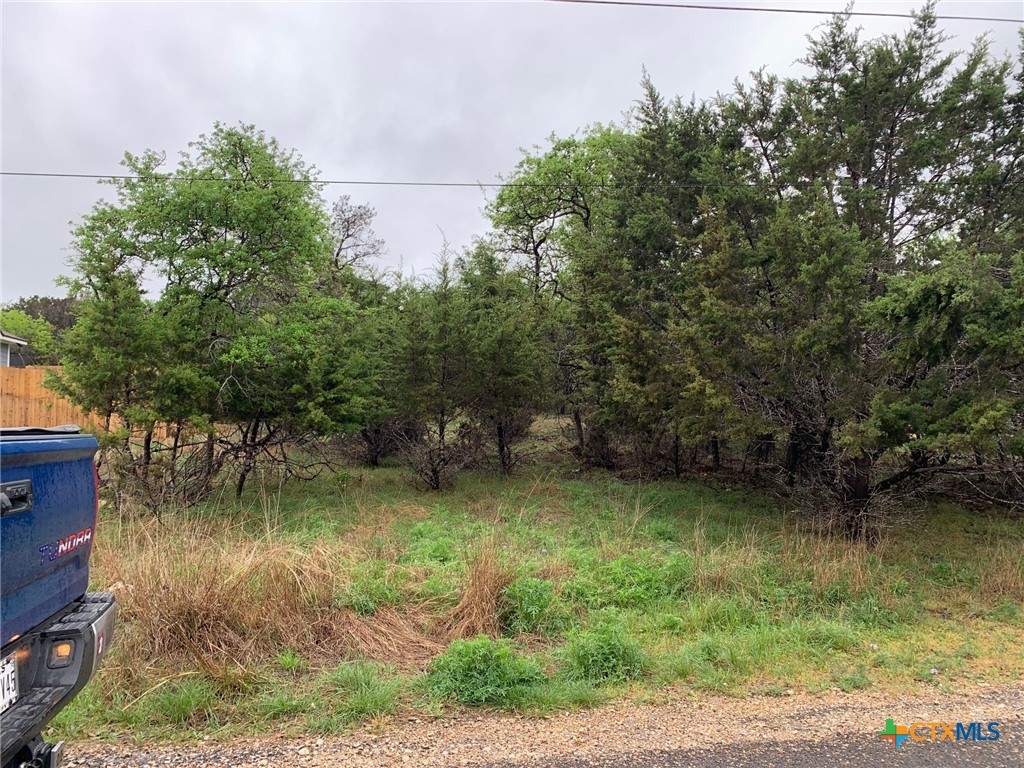 15939 Crockett Drive Property Photo 6