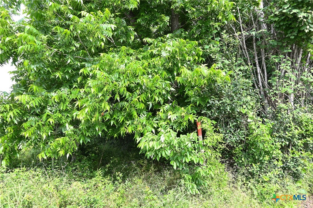 72 N Kessler Avenue Property Photo 20