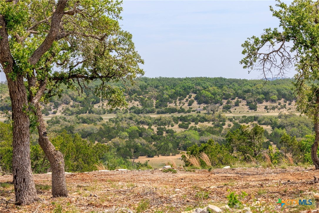 Lot 196 N Flat Rock Way Property Photo 1