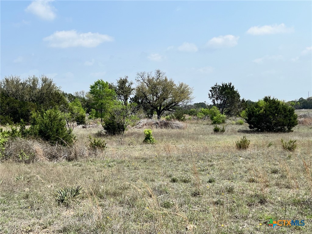 Lot 1 Cr 4717 Property Photo 9