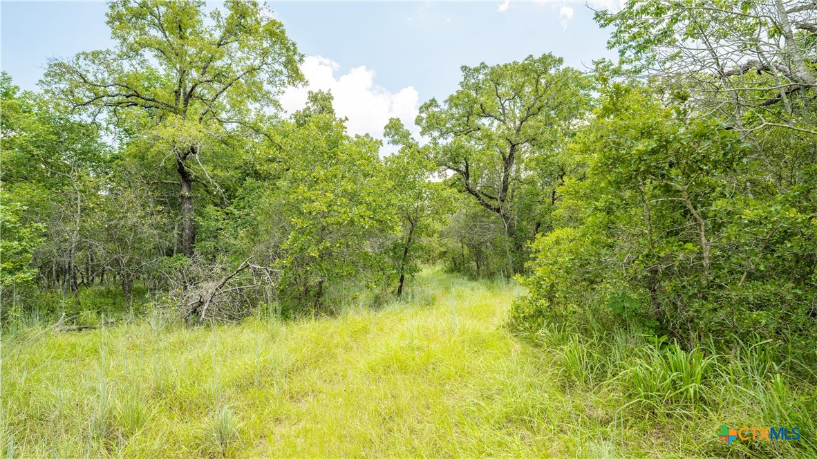 418-a County Road 405 Property Photo 5