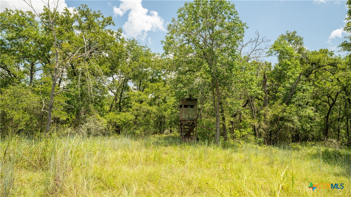 418-a County Road 405 Property Photo 7