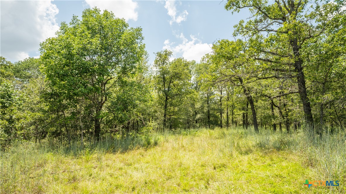 418-a County Road 405 Property Photo 10