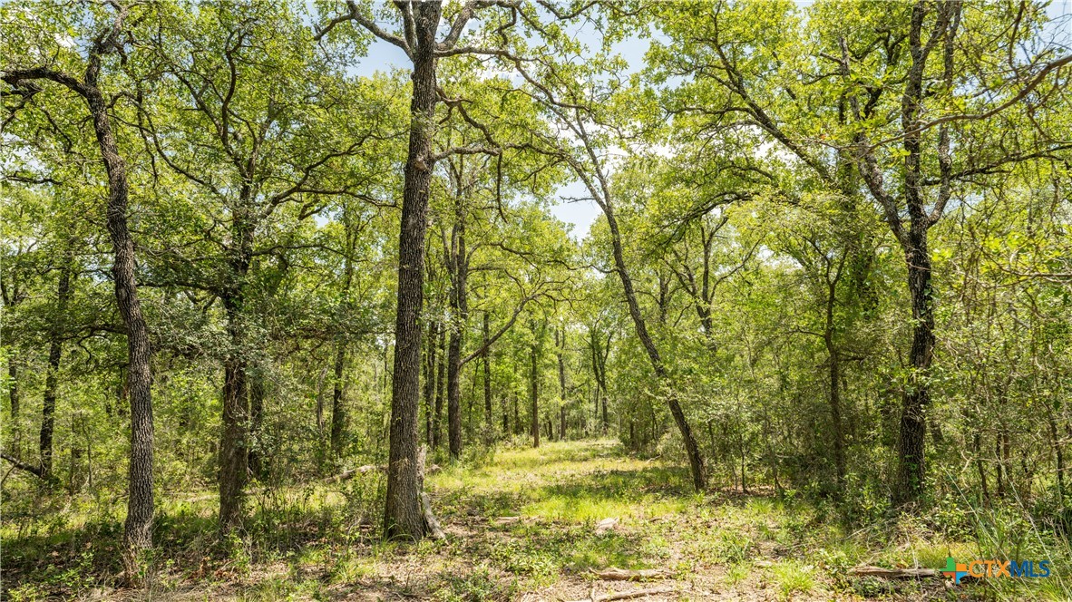 418-a County Road 405 Property Photo 11