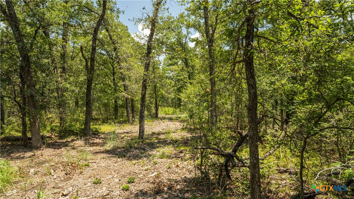 418-a County Road 405 Property Photo 13