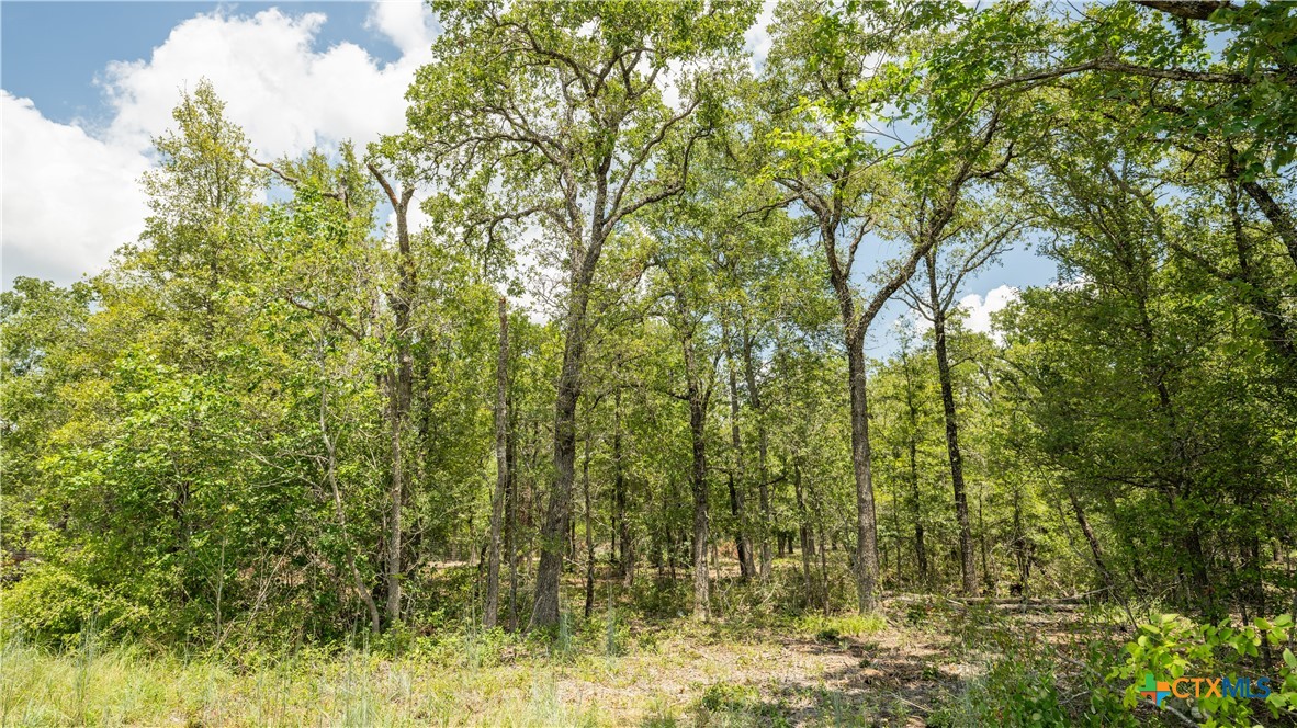 418-a County Road 405 Property Photo 14