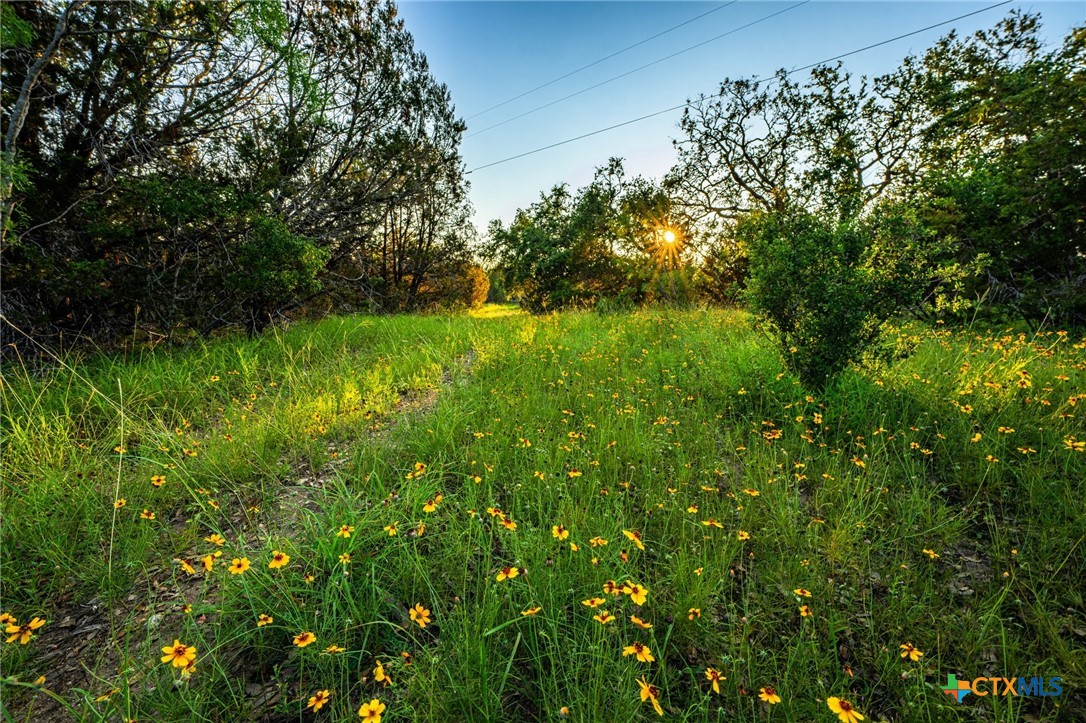 9738 E Fm 1431 Property Photo 33