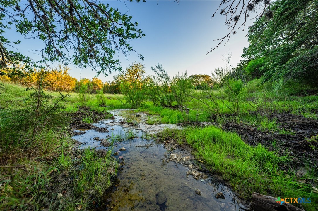9738 E Fm1431 Property Photo 12
