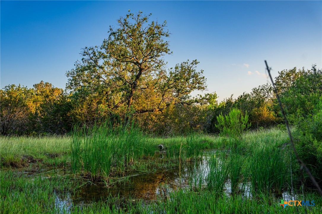 9738 E Fm1431 Property Photo 13