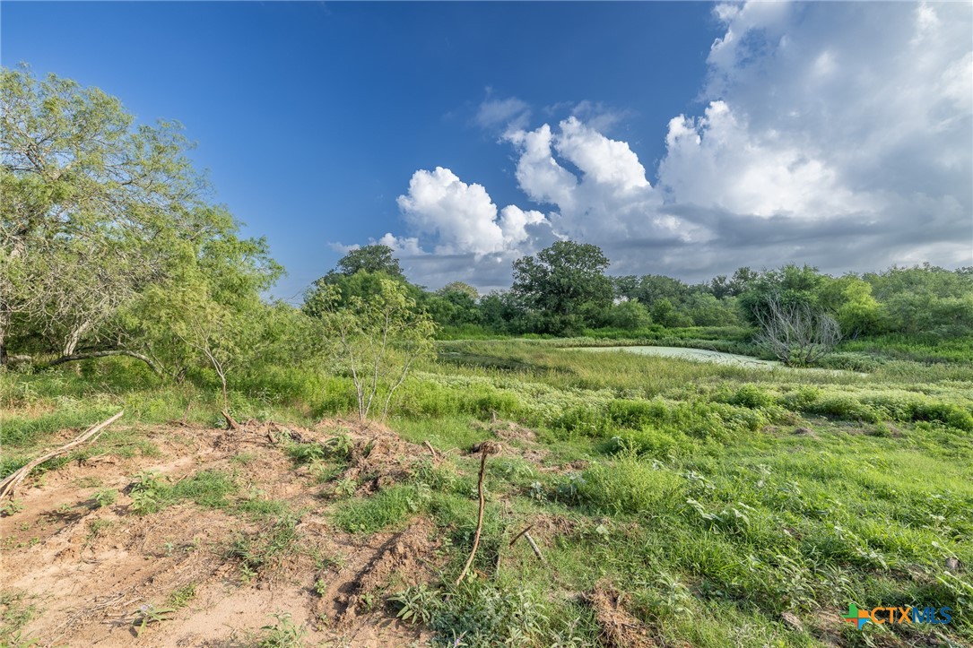 Lot 1-e County Road 491 Property Photo 4