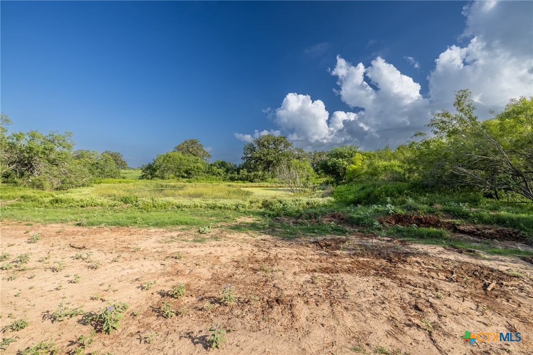 Lot 1-e County Road 491 Property Photo 5