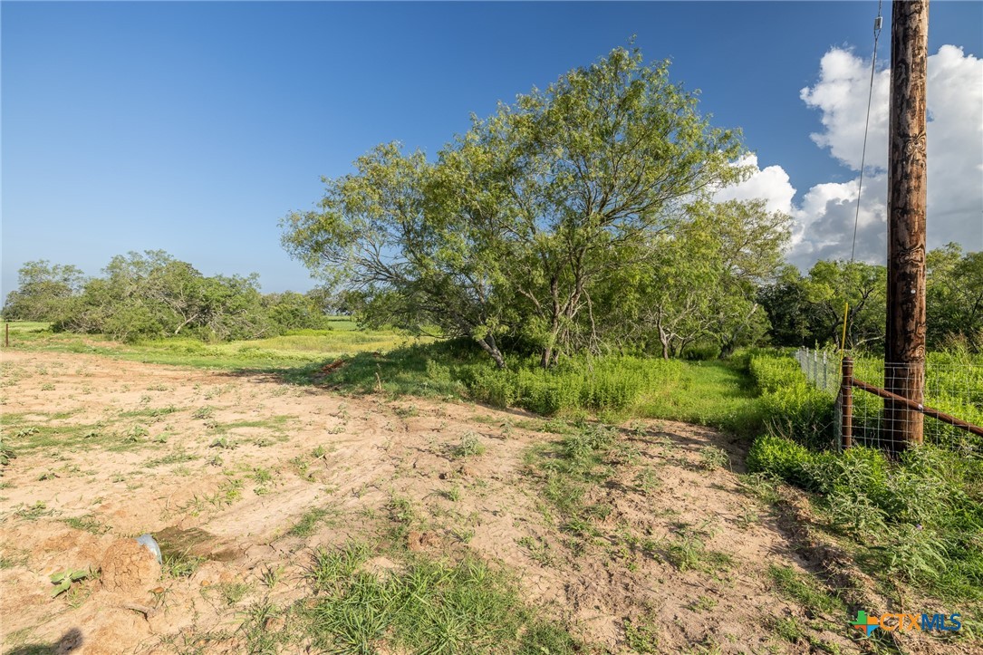 Lot 1-e County Road 491 Property Photo 6