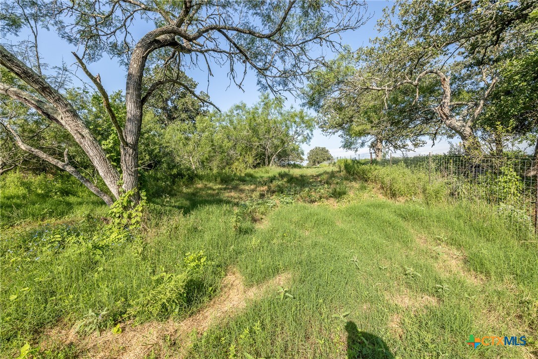 Lot 1-e County Road 491 Property Photo 7