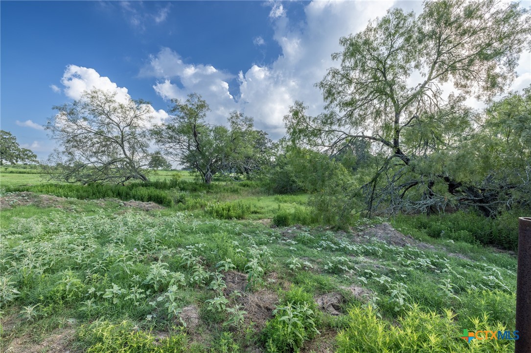 Lot 1-e County Road 491 Property Photo 8