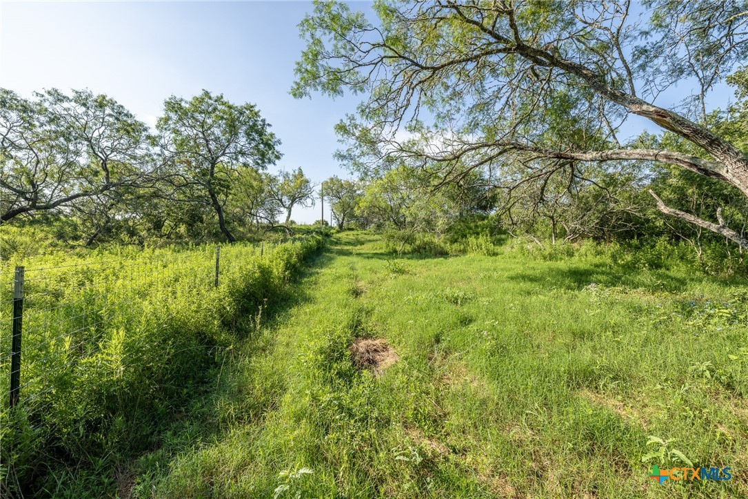 Lot 1-e County Road 491 Property Photo 9