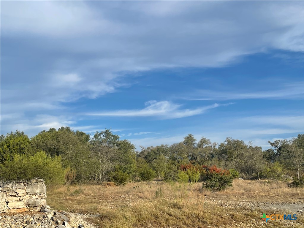 308 Copper Crest Drive Property Photo 1