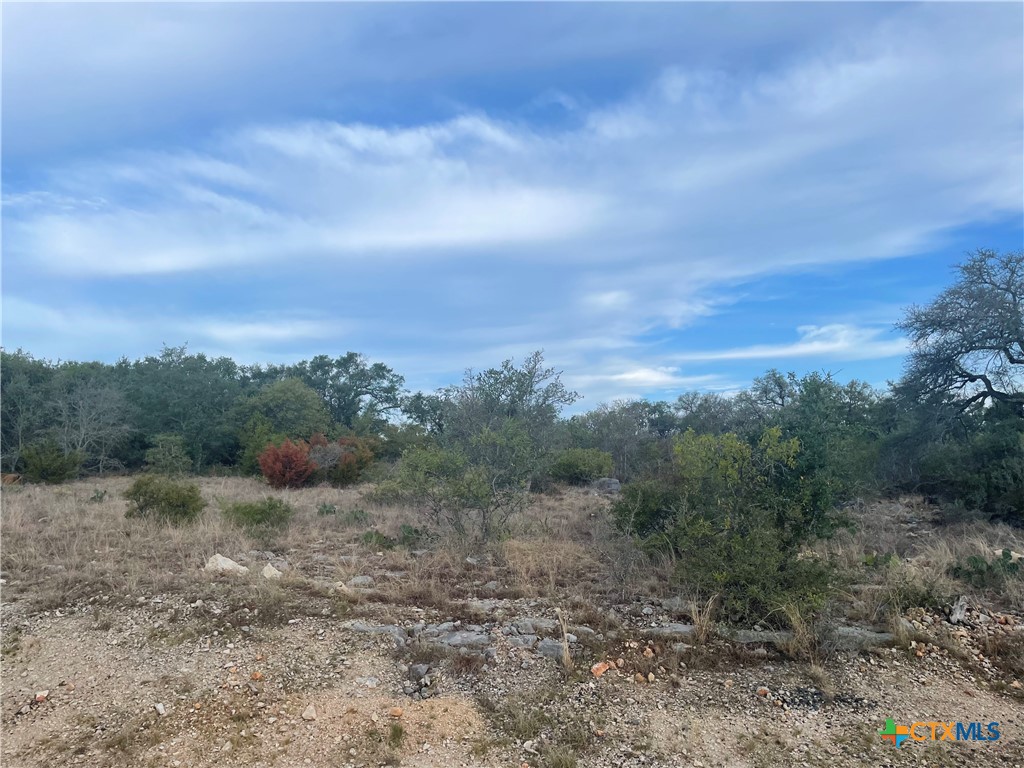 308 Copper Crest Drive Property Photo 2