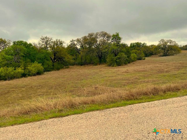 10655 E Trimmier Road Property Photo 3